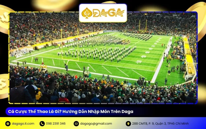 Cá Cược Thể Thao Là Gì? Hướng Dẫn Nhập Môn Trên Daga