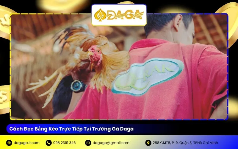 Cách Đọc Bảng Kèo Trực Tiếp Tại Trường Gà Daga