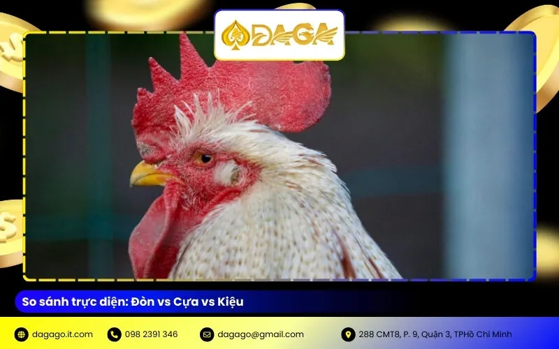 So sánh trực diện: Đòn vs Cựa vs Kiệu